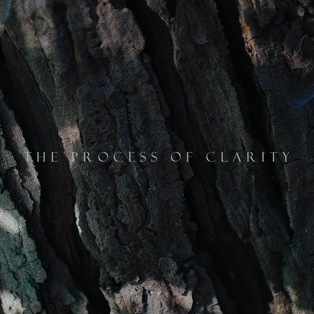 The Process of Clarity