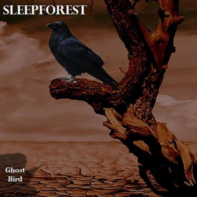 Ghost Bird