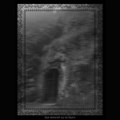 The Woods of Wither