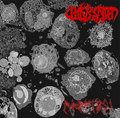 Apoptosi
