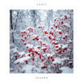 Sonder (EP, 2024)