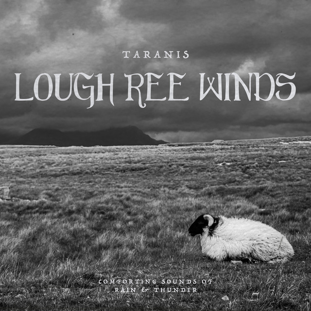Lough Ree Winds