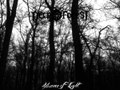 Absence of Light