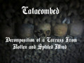 Decomposition Of A Carcass From A Rotten And Splited Mind