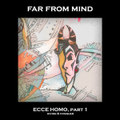 ecce homo, part 1 - divide & conquer
