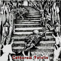 Catharsis Fatalis