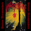 Abstruse Metempsychosis