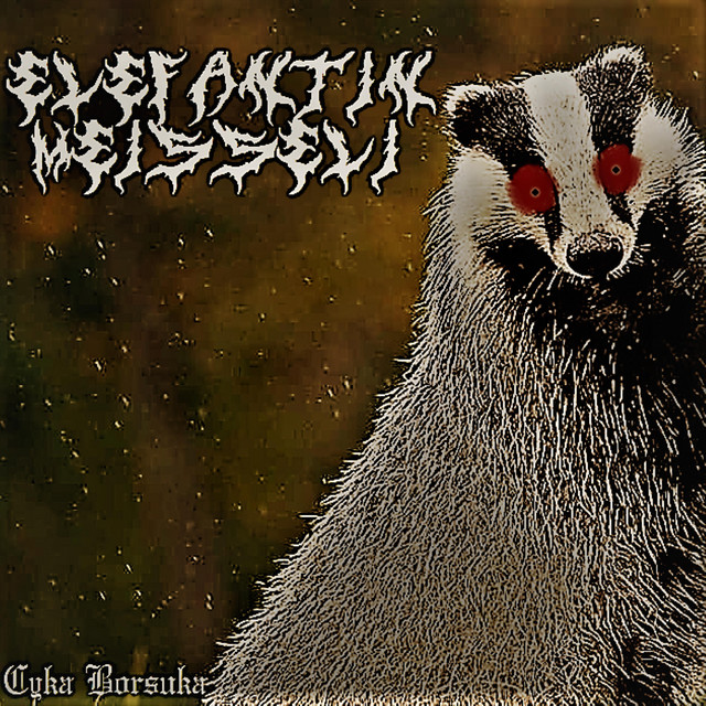 Cyka Borsuka