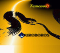 Ouroboros
