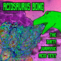 The Dirty Jurassic Acid Test