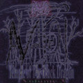 Temple of The Black Dragon Vol. 3: Avadon