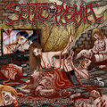 "Supreme Art of Genital Carnage" instrumental