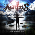 Final Hybridation