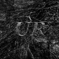 UR (split w/ Tengri)
