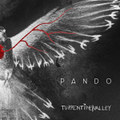 Pando
