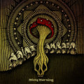 Saint Shroom