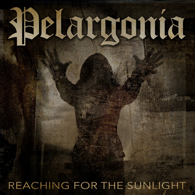 Reaching For The Sunlight