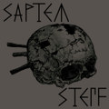 SAPTEM