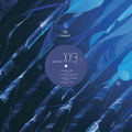 XY.3