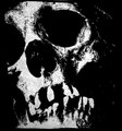 Bureval (Demo)