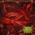 Championship Of Dehumanized Prolapsed Uterus Torture Massacre