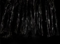 L'offre du mal (single)