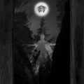 Amidst The Trees