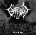 Storm of Steel