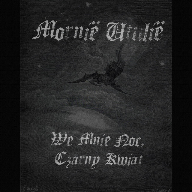 We Mnie Noc, Czarny Kwiat