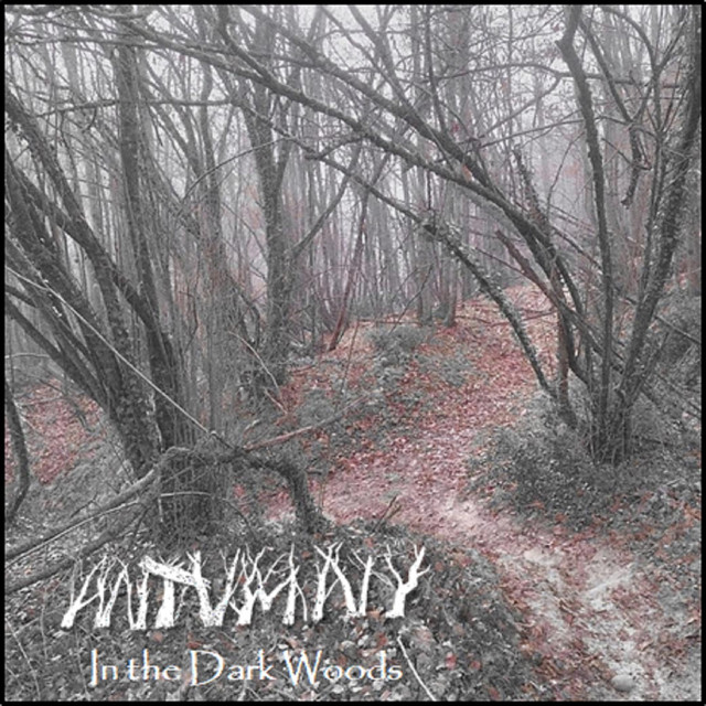 In the Dark Woods