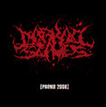 Promo 2008
