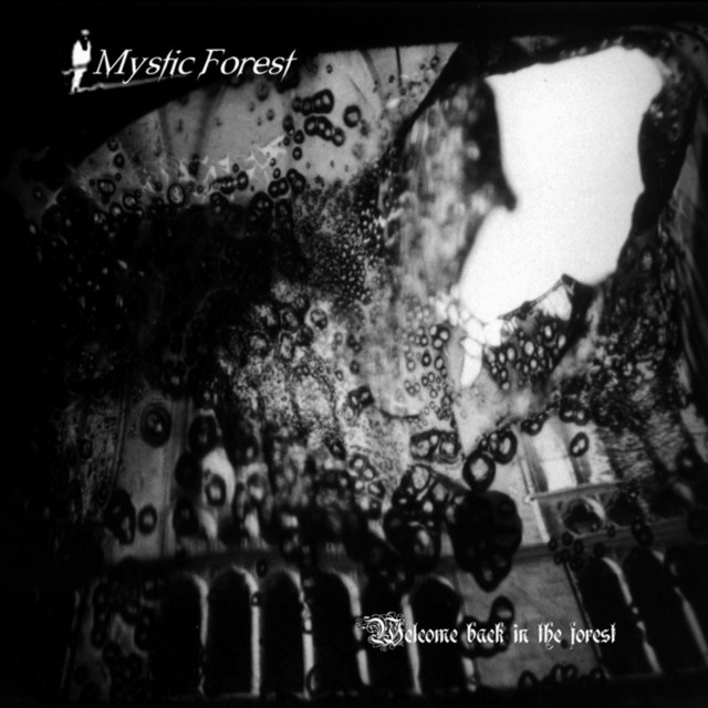 Welcome Back In The Forest