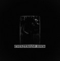 Everything Dies
