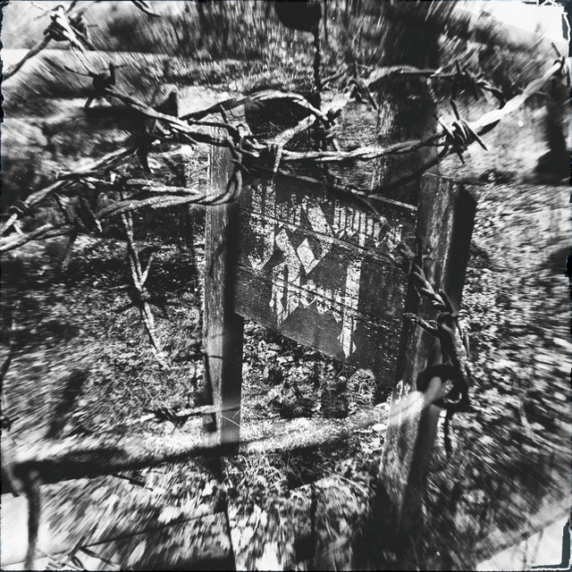 Barbed Wire