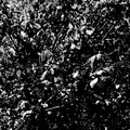 A Sensationless Void
