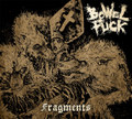 Fragments