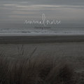 Chasing Swans (2010)