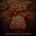 Low Budget Lobotomy (Split)
