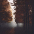 Autumn Howls