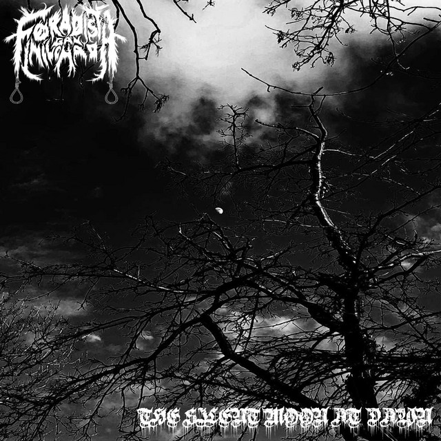 The Silent Moon at Dawn
