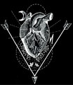 Coilguns / NVRVD Split