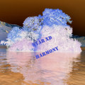 Harmony