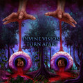 Divine Vision Torn Apart