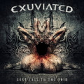 Last Call To The Void (death metal)