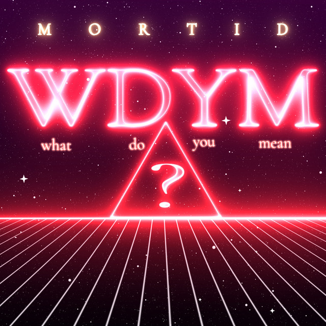 Wdym (What Do You Mean?)