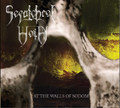 At The Walls Of Sodom