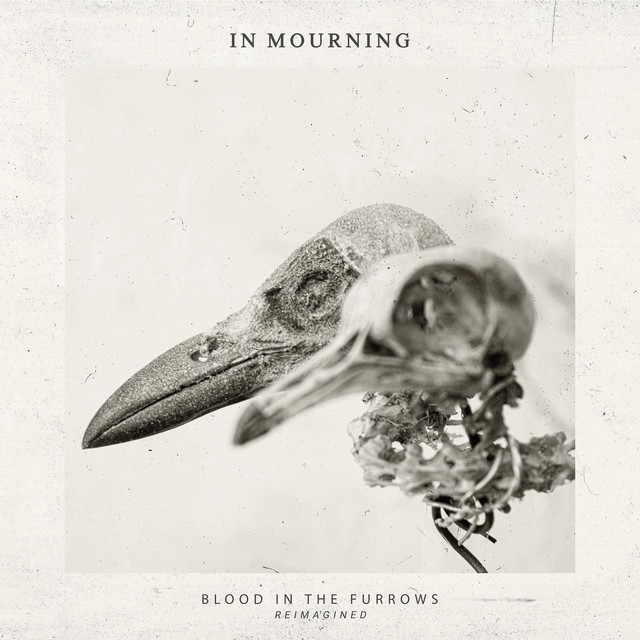Blood in the furrows - Reimagined
