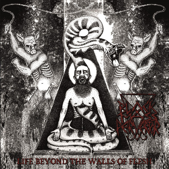 Life Beyond The Walls Of Flesh
