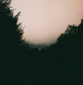 _ (Demo)