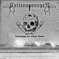 Niedergang der letzten Sonne